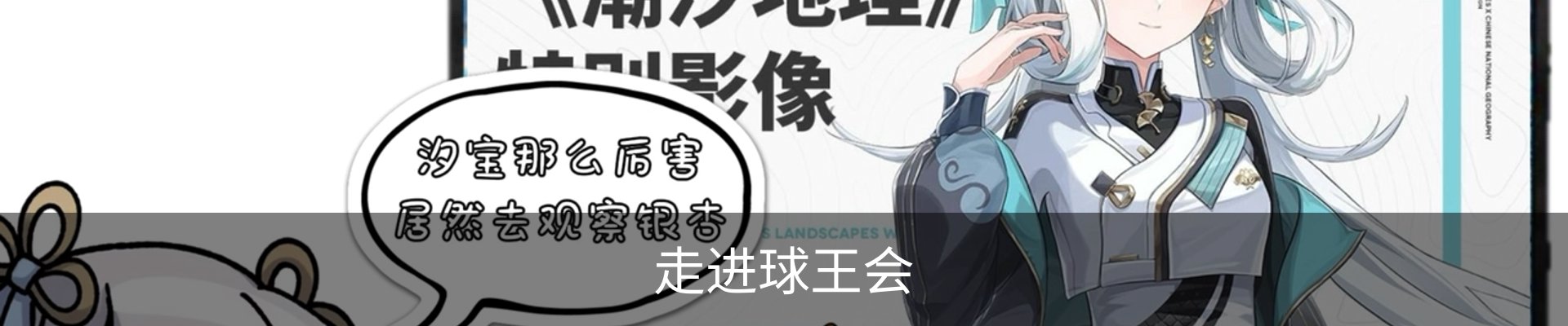 走进球王会